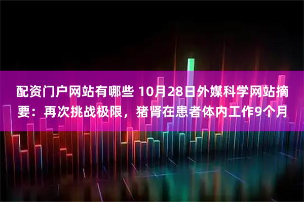 配资门户网站有哪些 10月28日外媒科学网站摘要：再次挑战极限，猪肾在患者体内工作9个月